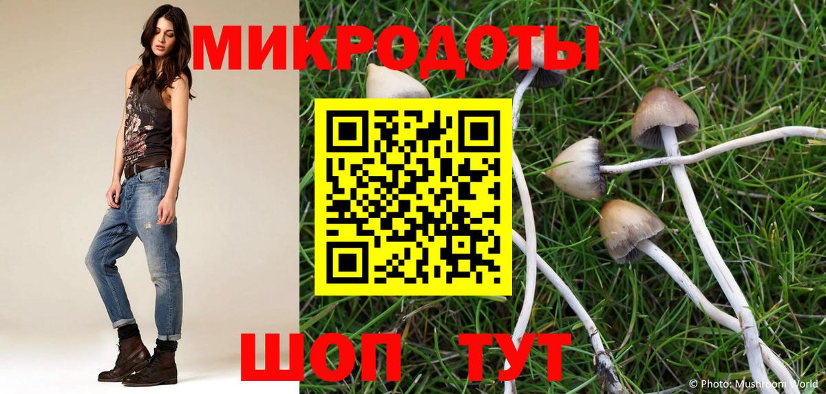 Мытищи  Псилоцибиновые грибы Psilocybe  Вход с VPN 