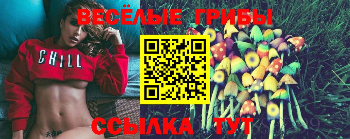 Галлюциногенные грибы ЛСД Мытищи
